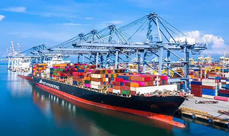 Global logistics and export distribution for instant noodle products