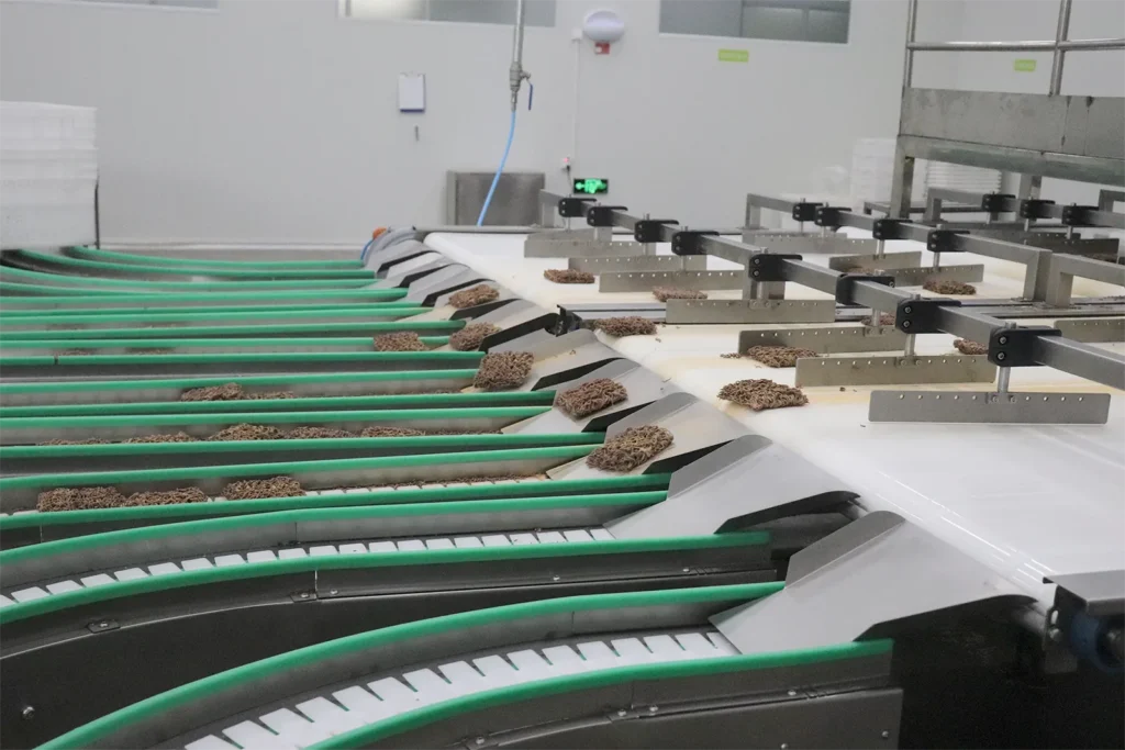 Automated machinery running on instant noodle production line in food factory