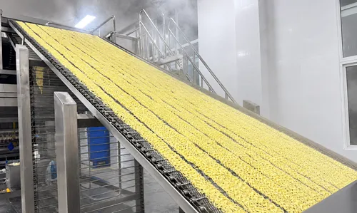 Steamed instant noodles moving through industrial production line processing stages
